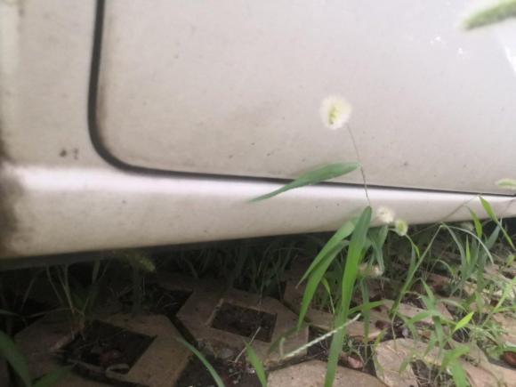 [济南·鲁A] 二手马自达马自达52013款 2.0L 自动舒适型