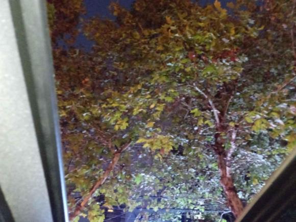 [南京·苏A] 二手奔驰奔驰B级2012款 B 180