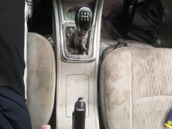 [芜湖·浙F] 二手金杯海狮X30L2016款 1.5L财富版DLCG14