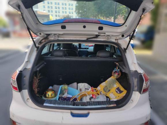 [合肥·皖A] 二手江汽集团江淮iEV6S2016款 智享版