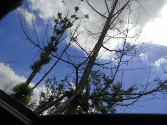 [上海·沪K] 二手马自达睿翼2010款 轿跑 2.0L 自动豪华版