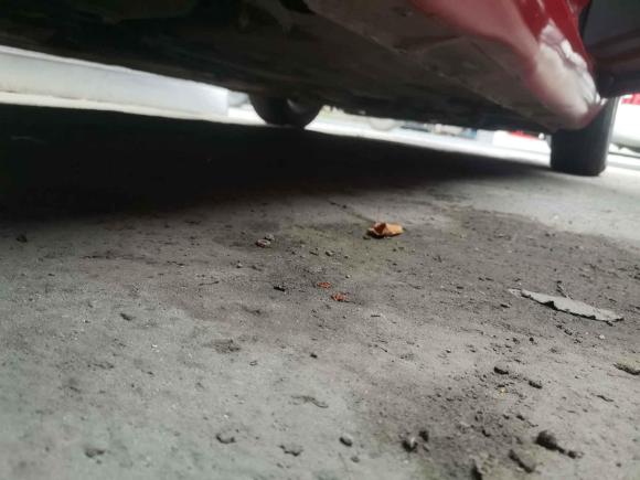 [成都·川A] 二手福特福克斯2013款 两厢经典 1.8L 自动基本型