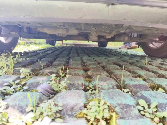 [苏州·苏E] 二手马自达马自达32010款 2.0L 手动经典运动型