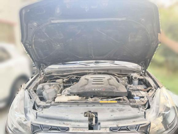 [深圳·粤B] 二手江铃域虎52019款 2.0T柴油手动两驱进取 国VI