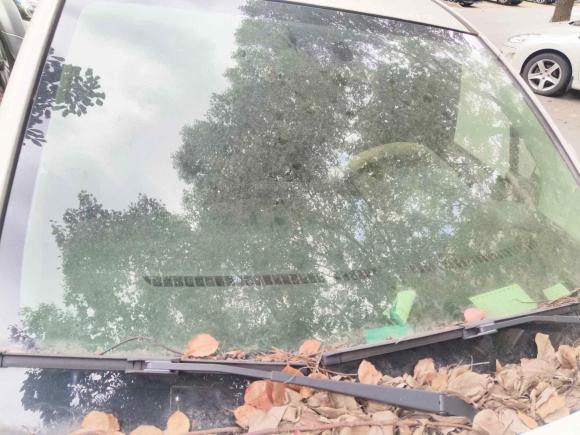 [上海·沪A] 二手哪吒汽车哪吒N012020款 430e