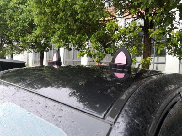 [常州·苏D] 二手欧拉欧拉黑猫2021款 351km 标准型