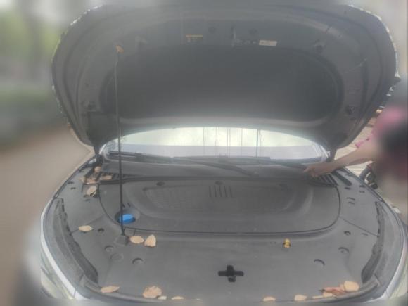 [台州·浙J] 二手比亚迪元PLUS2022款 510KM 旗舰型