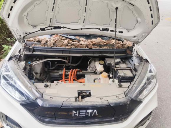 [上海·沪A] 二手哪吒汽车哪吒N012020款 430e