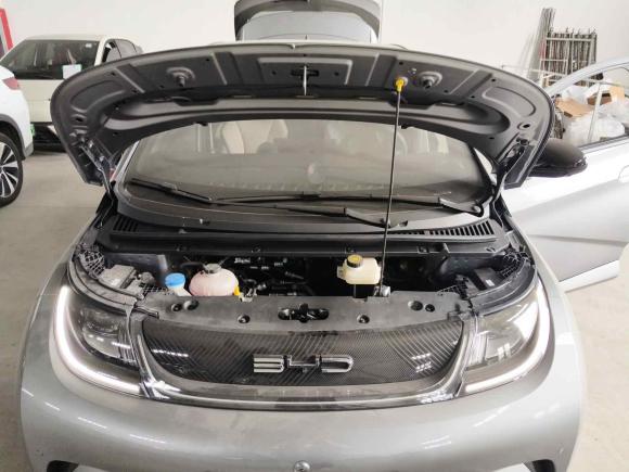 [南通·苏F] 二手比亚迪海豚2023款 420km 时尚版