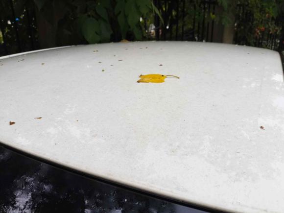 [武汉·鄂A] 二手丰田雷凌2023款 智能电混双擎 1.8L 领先版