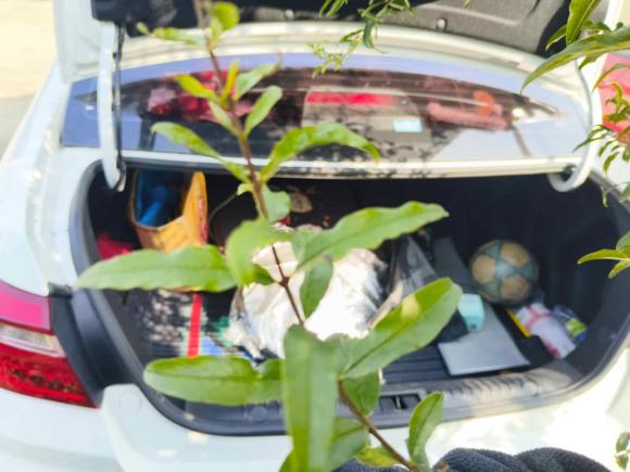 [无锡·苏B] 二手吉利汽车远景2020款 1.5L CVT亚运版