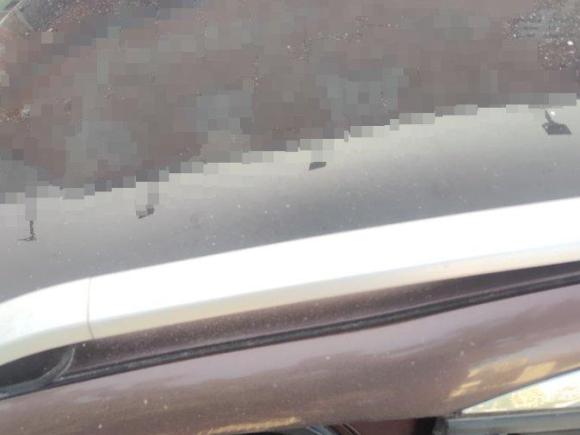 [深圳·粤N] 二手标致标致20082014款 1.6L 自动领航版