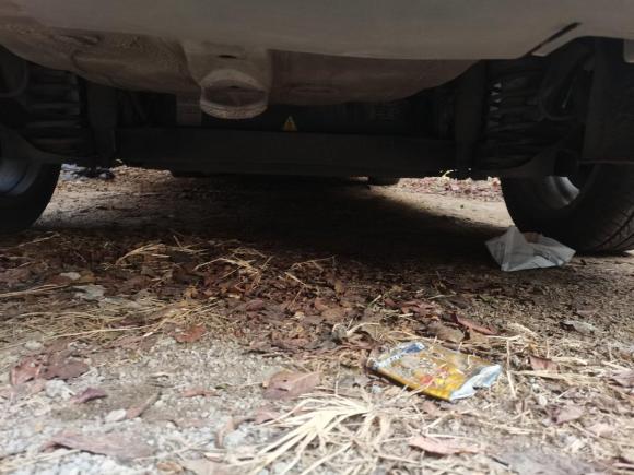 [济南·鲁A] 二手北京汽车北京EU52018款 R500 智风版