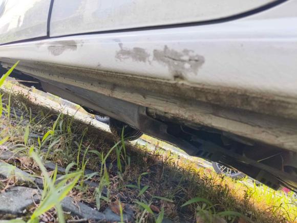 [上海·沪C] 二手大众Polo2016款 1.4L 手动风尚型