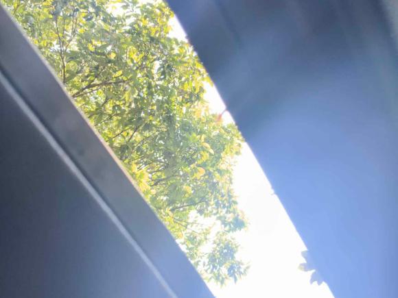 [杭州·浙E] 二手奔驰奔驰S级2014款 S 600 L