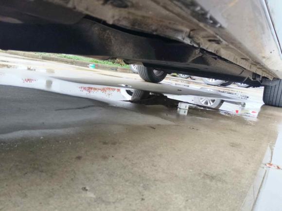 [上海·沪E] 二手别克别克GL82017款 25S 豪华型 国V