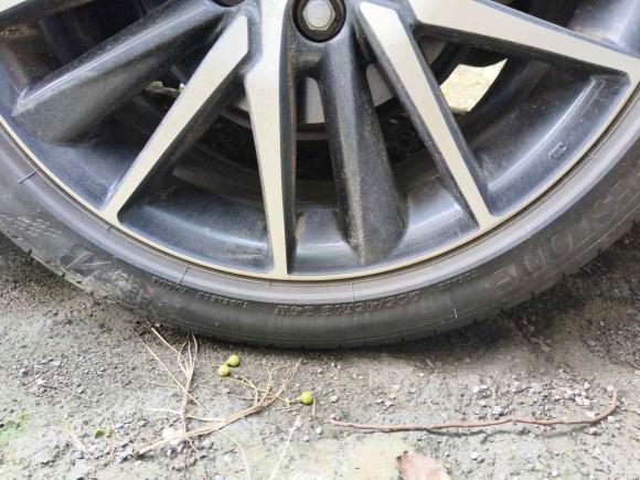 [芜湖·皖B] 二手丰田凯美瑞2021款 2.0S 锋尚版