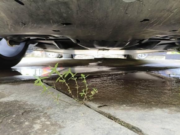 [深圳·粤B] 二手特斯拉Model Y2022款 Performance高性能全轮驱动版