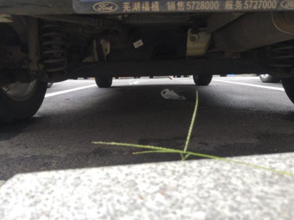 [芜湖·皖B] 二手福特翼搏2013款 1.5L 自动风尚型