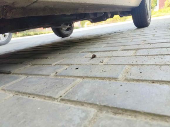 [嘉兴·浙A] 二手五菱汽车宏光MINIEV2022款 马卡龙臻享款 三元锂