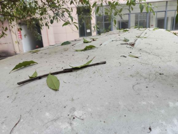 [武汉·鄂A] 二手福田蒙派克E2014款 2.0L财富快车经典版简配4Gi-VVT