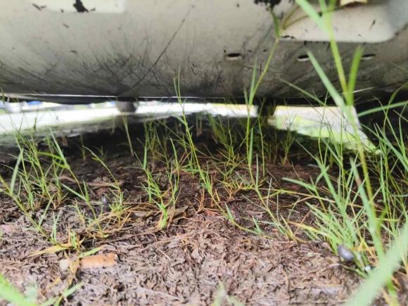 [南通·苏F] 二手马自达马自达3 昂克赛拉2017款 三厢 1.5L 自动舒适型 国V