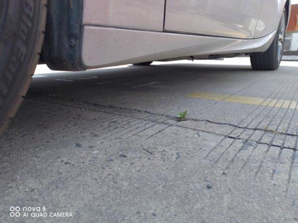 [上海·沪D] 二手雷克萨斯雷克萨斯IS2017款 300 F SPORT版