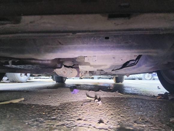 [深圳·粤B] 二手本田思铂睿2009款 2.4L 豪华版