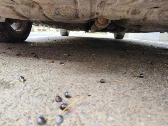 [常州·苏D] 二手雷克萨斯雷克萨斯ES2010款 240 典雅版