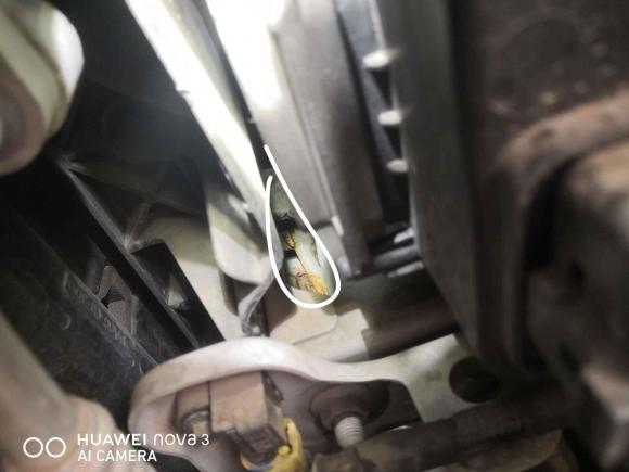 [成都·苏U] 二手吉利汽车缤瑞2019款 200T DCT缤致版