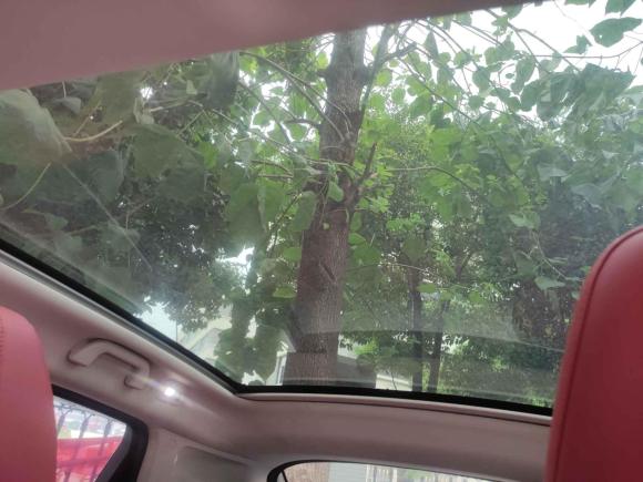 [温州·浙C] 二手哈弗哈弗F52018款 1.5T i潮