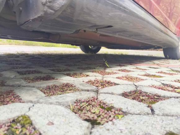 [南通·苏F] 二手铃木雨燕2011款 1.5L 自动运动版