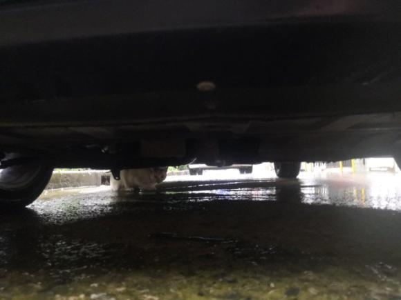 [南通·苏F] 二手名爵名爵32014款 1.5L 手动精英版