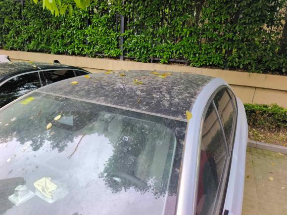 [上海·沪A] 二手埃安AION S Plus2021款 80 科技版