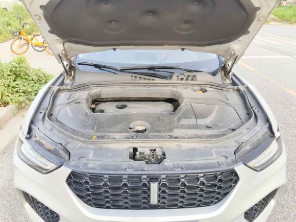 [上海·苏U] 二手魏牌魏牌 VV52017款 2.0T 旗舰型