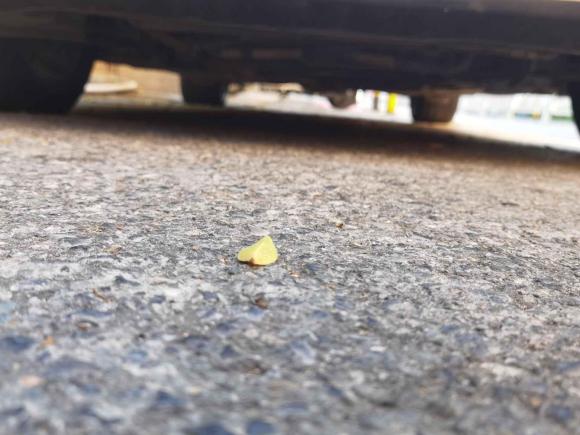 [深圳·粤B] 二手奔驰奔驰CLK级2006款 CLK 280 双门轿跑车