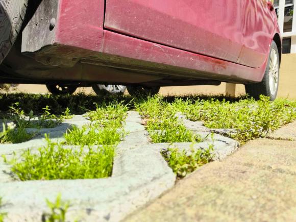 [嘉兴·浙F] 二手别克英朗2016款 15N 自动精英型