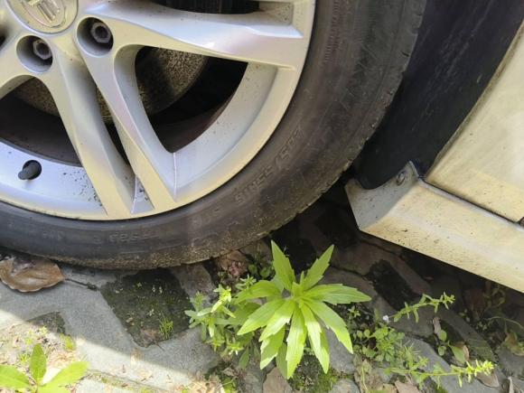 [上海·苏F] 二手奔腾奔腾B302016款 1.6L 自动豪华型