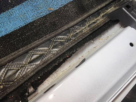 [西安·陕A] 二手哈弗哈弗H62021款 国潮版 1.5T 自动冠军版