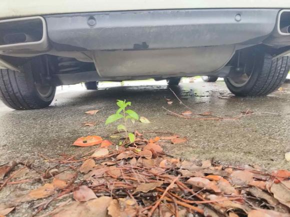 [上海·鲁V] 二手沃尔沃沃尔沃V602015款 T5 智逸版