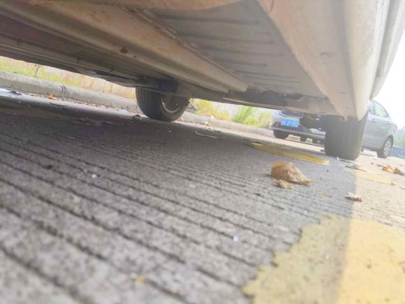 [金华·川B] 二手雪铁龙世嘉2013款 1.6L 手动品尚型CNG