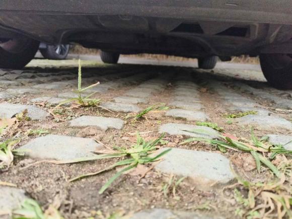 [苏州·苏E] 二手大众尚酷2010款 2.0TSI 豪华版