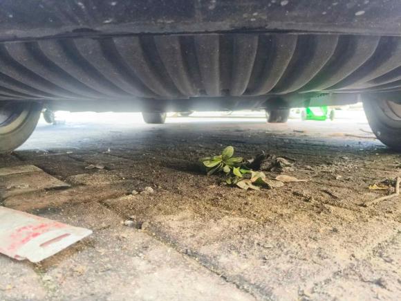 [合肥·皖A] 二手奔驰奔驰E级2013款 E 260 L CGI优雅型