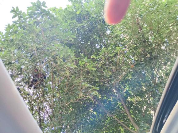 [上海·沪F] 二手SWM斯威汽车SWM斯威G012019款 1.5T 自动优UP 国VI