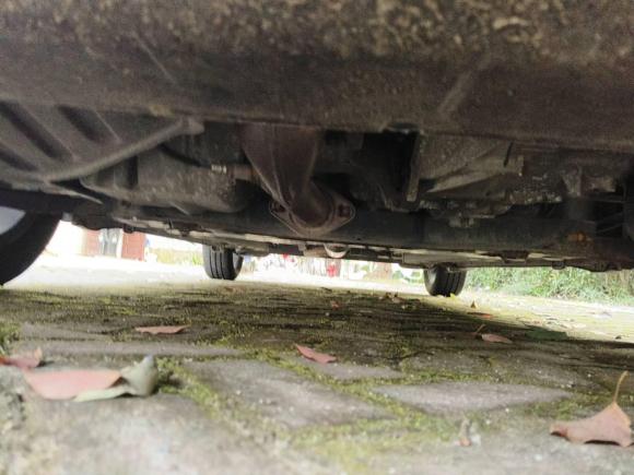 [上海·粤G] 二手铃木雨燕2013款 1.5L 手动20周年限量版