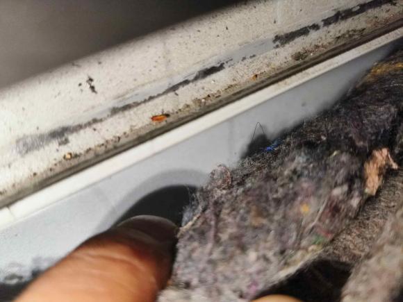 [成都·川A] 二手大众朗行2013款 1.6L 自动豪华型