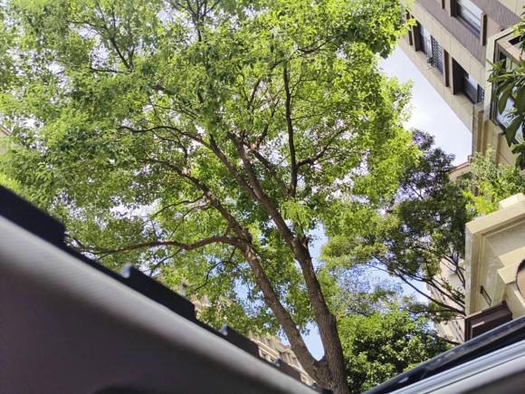 [上海·鄂A] 二手观致观致32014款 三厢 1.6T 自动致臻型