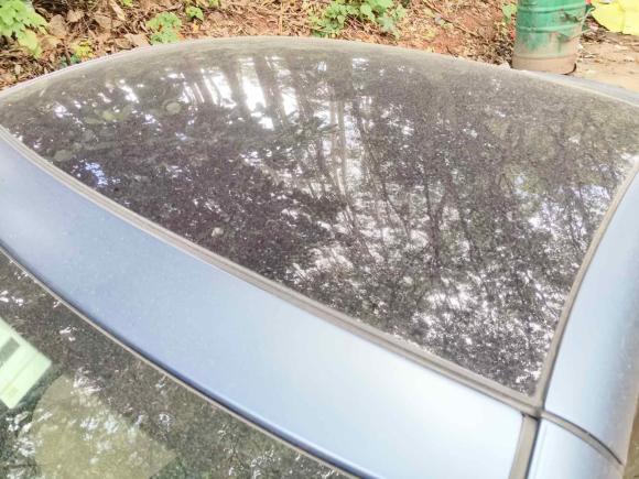 [佛山·桂A] 二手奔驰奔驰SLK级2011款 SLK 200 时尚型