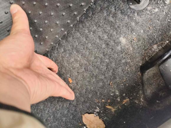 [合肥·皖A] 二手丰田雷凌2014款 1.6G 手动精英版