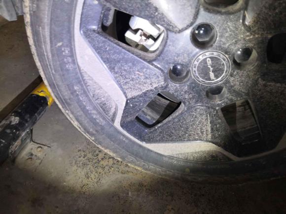 [合肥·皖A] 二手比亚迪海豚2021款 405km 时尚版